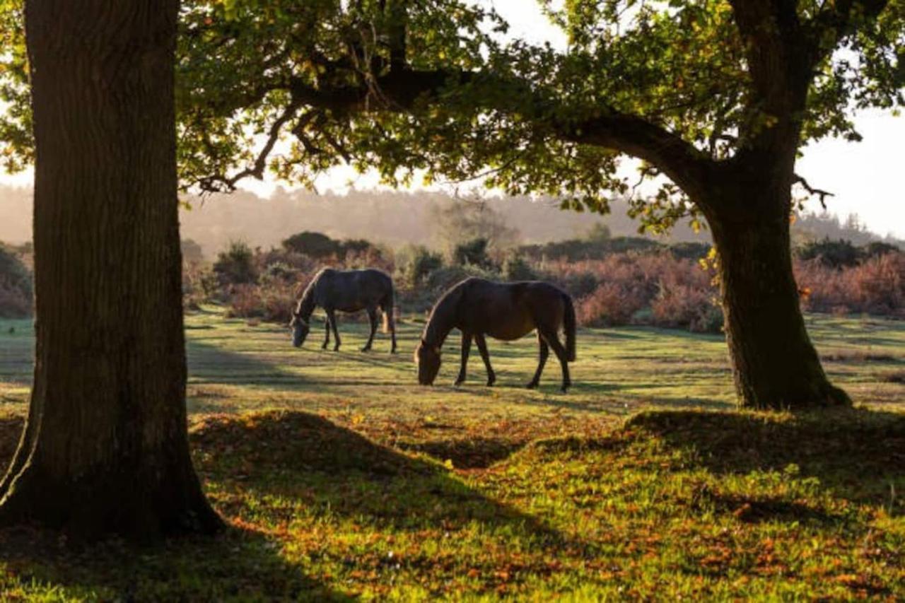 New Forest Retreat Shorefield Country Park Lymington Buitenkant foto